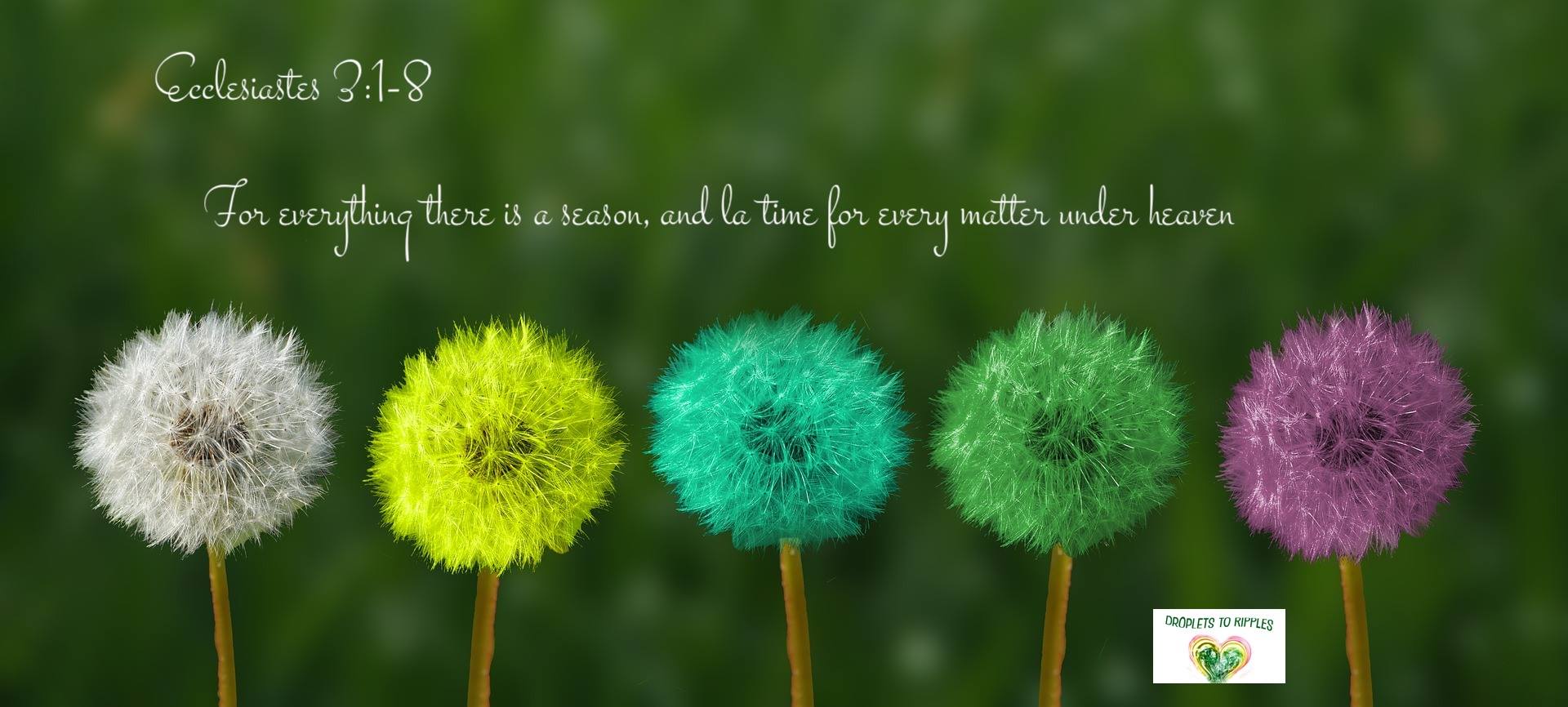 19055918_10155872456612702_414797471980197413_o