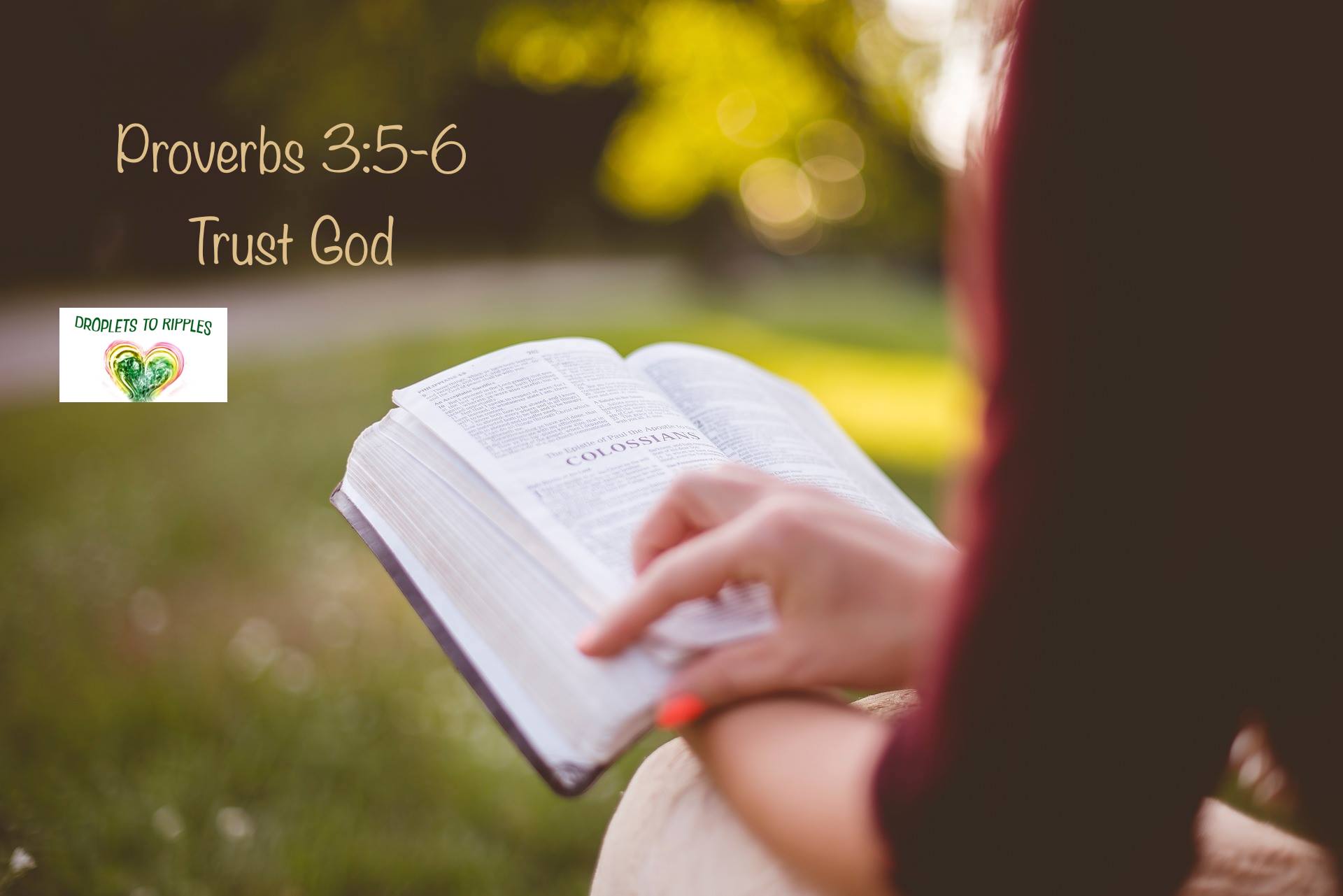 28514493_10155821960107702_5106802920404279444_o