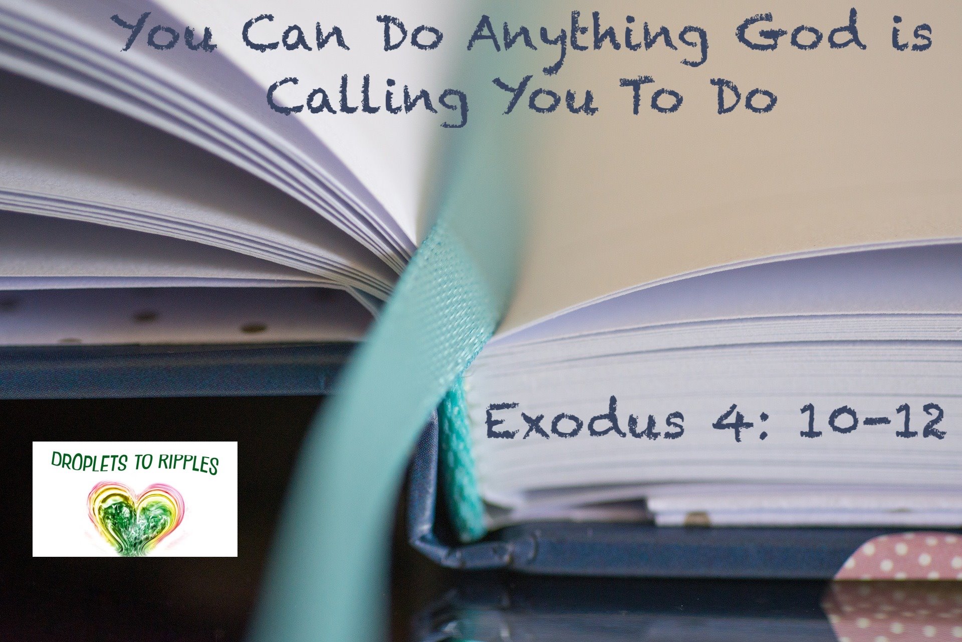 31961313_10155980621612702_5661472048153624576_o