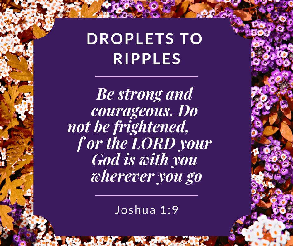 Droplets To Ripples 12.30.19