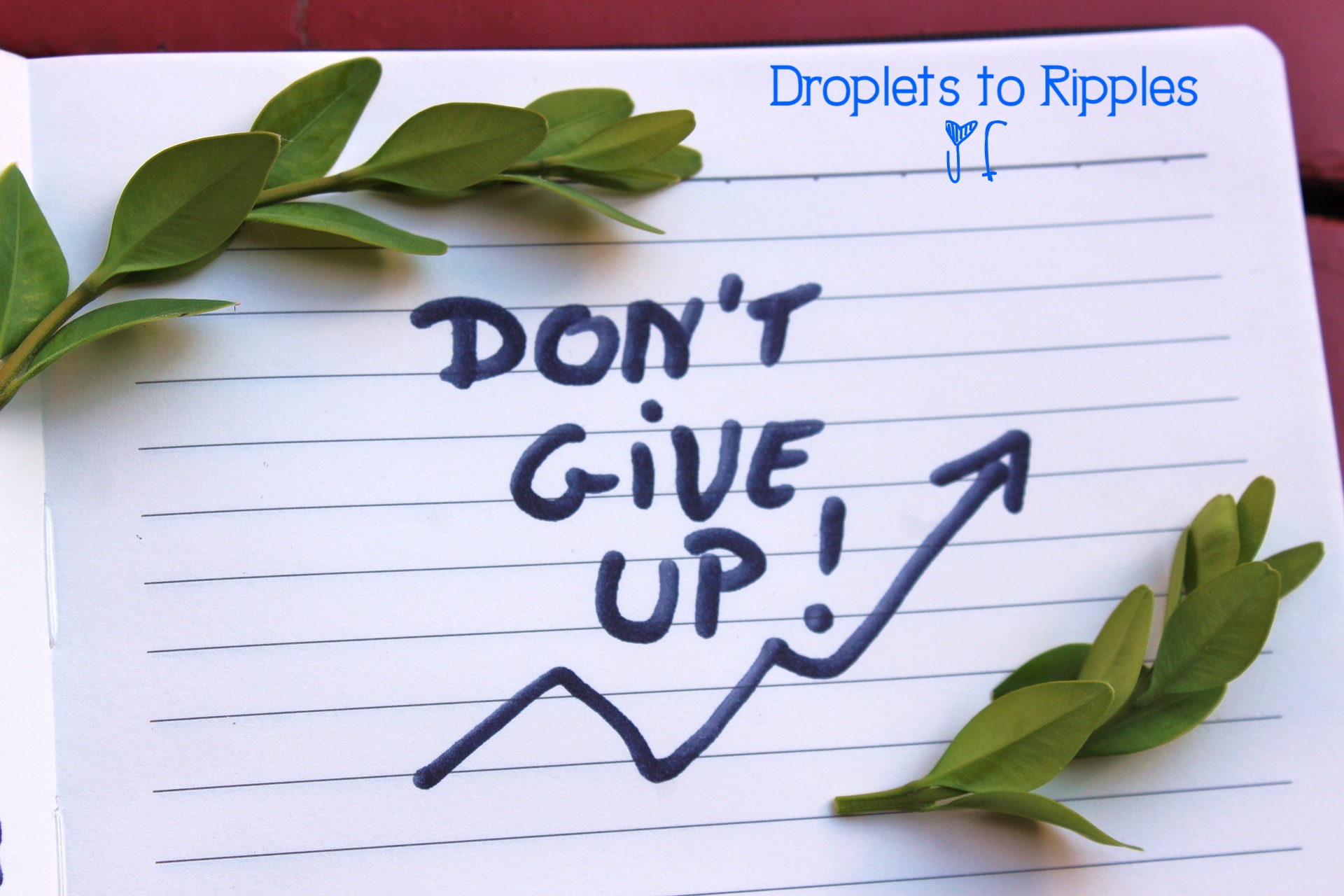 dont-give-up-3403779_1920
