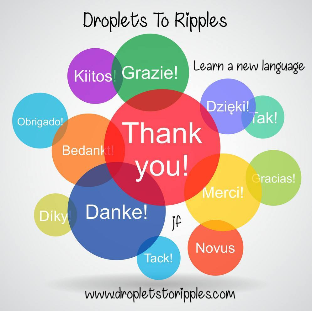 53004988_2570896102924845_6229254200560189440_o