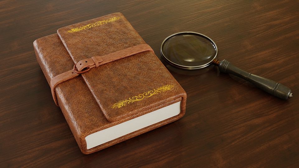 May be an image of leather, diary and book